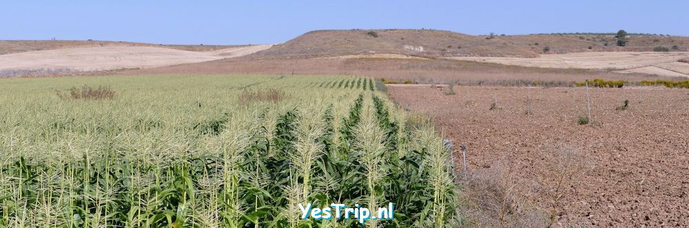xxx From Olite to Villafranca